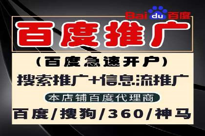 案例分析：短视频平台信息流广告效果评估